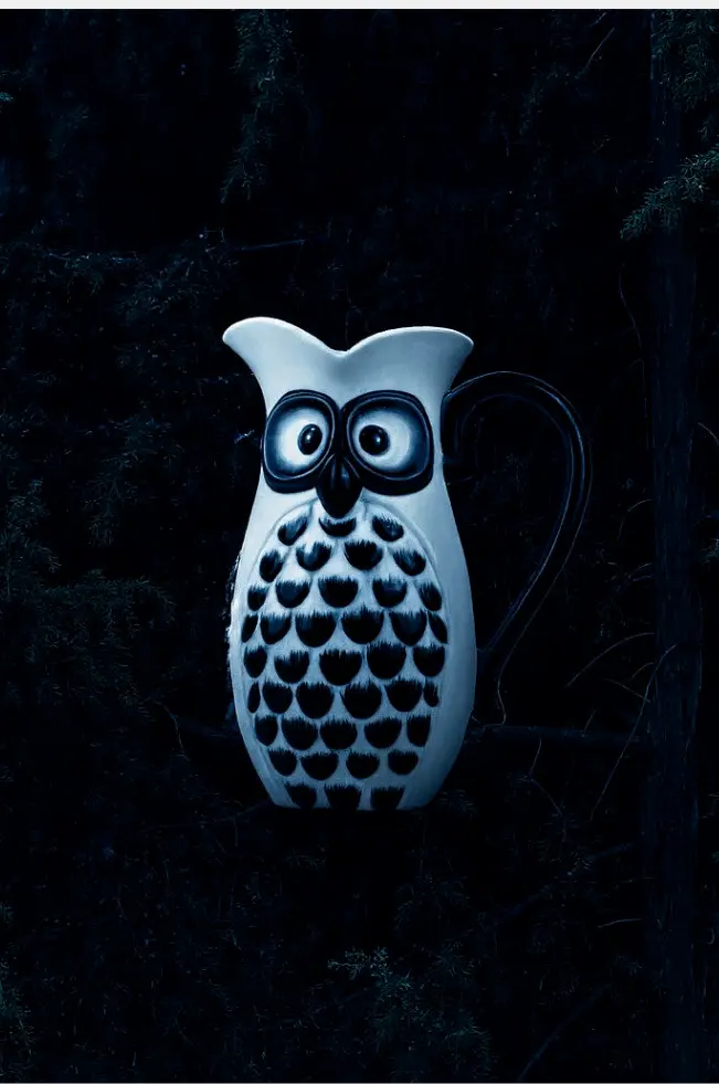 CRUCHE HIBOU  - LES PIÈCES UNIQUES
