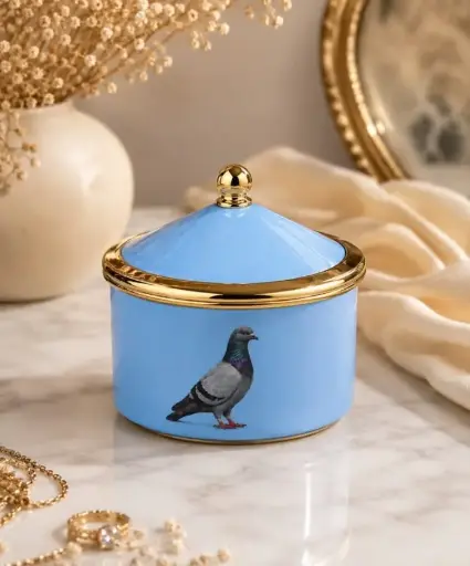 PIGEON - BOITE CIRQUE