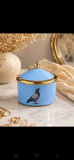 PIGEON - BOITE CIRQUE